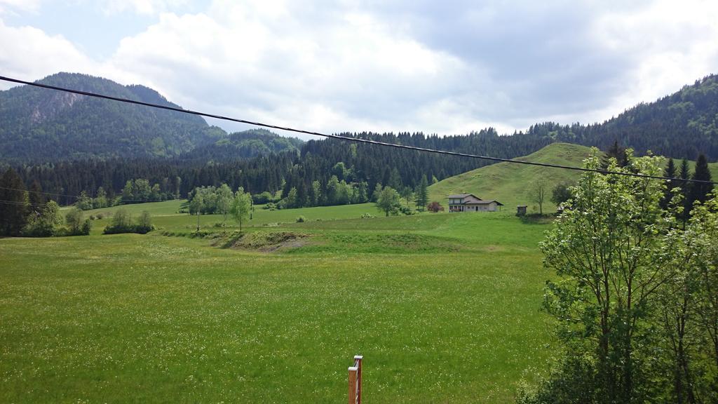 Haus Alpina Lejlighed Weissensee Eksteriør billede
